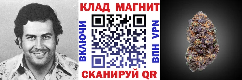 A PVP Новосиль