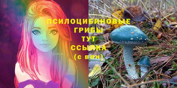 скорость Алексеевка