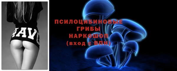 СК Пестово