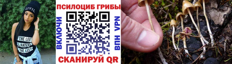 продажа наркотиков  Новосиль  Псилоцибиновые грибы GOLDEN TEACHER 